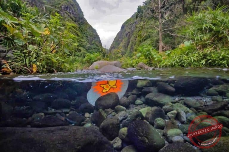 Gouzou a leau jace riviere la reunion