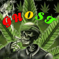 👻 GHOST 👻