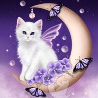 Illustration du profil de 🎀 Esther 💕