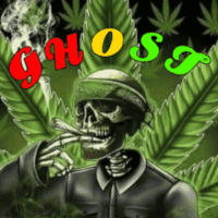 👻 GHOST 👻