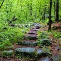 Logo du groupe Harmonie et Vitalité