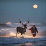 600889371_876412468104353_8097377770449569985_n