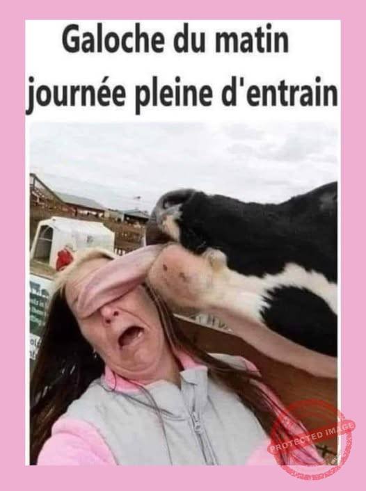 601917180_1380227964115115_2504549006369921949_n