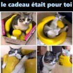 603911263_1298600478979864_5614670310777203955_n