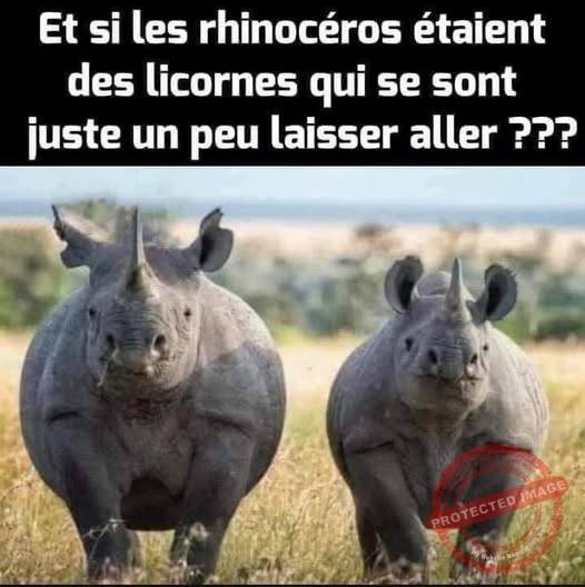 604744559_1315639050607230_6461113394900902640_n