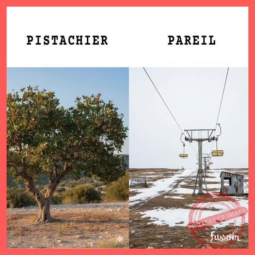 606028345_1396160748543748_1705197050455100686_n