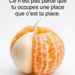 607910754_1444593041007866_2014157757497275175_n