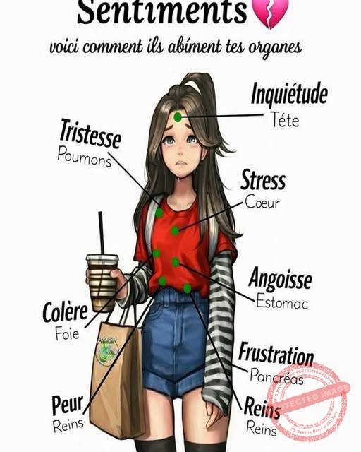 les-emotions-du-corps