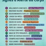 alerte-du-corps