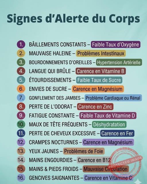 alerte-du-corps