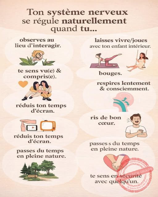 systeme-nerveux