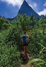 la-reunion-2