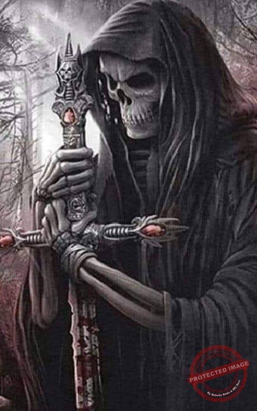 332349797_956950195680772_3297926274692780340_n