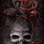 332777537_730246322033199_7556323232924591175_n