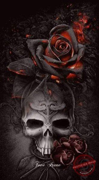 332777537_730246322033199_7556323232924591175_n