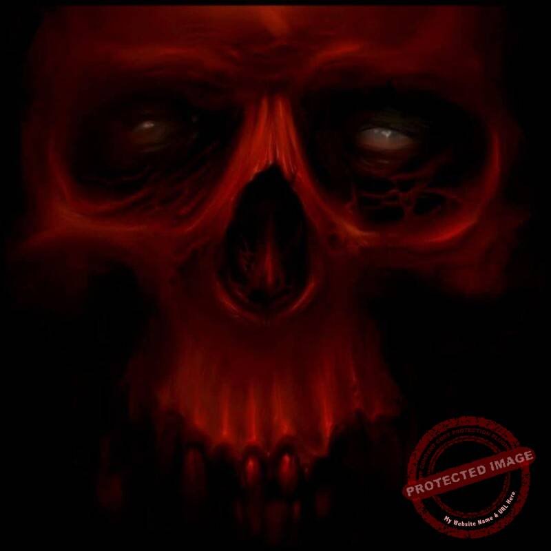 333531273_2156919564508127_6564357243966750726_n