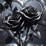 586019855_2606694973032398_2000605453044795573_n