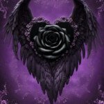 588502491_122175569468434828_3477722397670641365_n