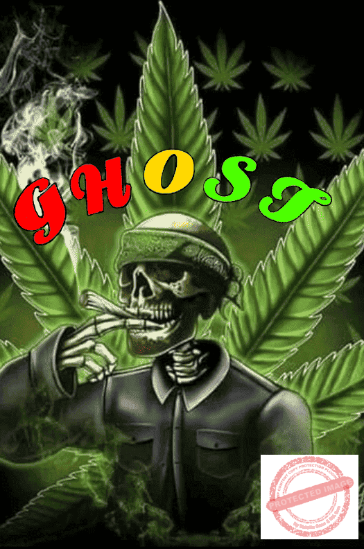 ghost-1